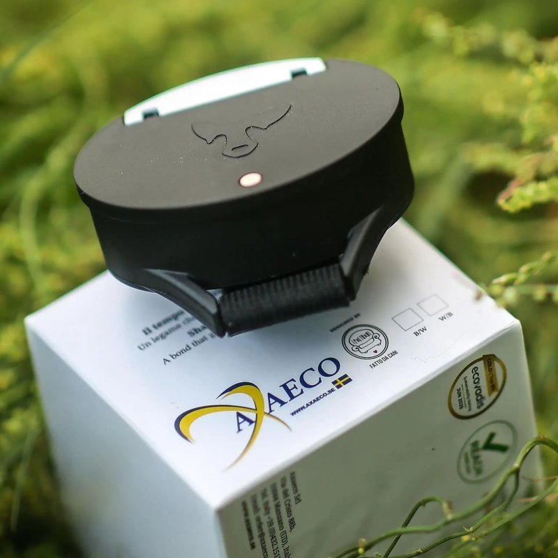 Axaeco Time O’Crock