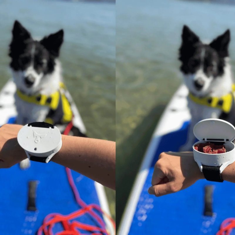 Axaeco Time O’Crock