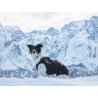 Axaeco Giacca Ice-Olation
