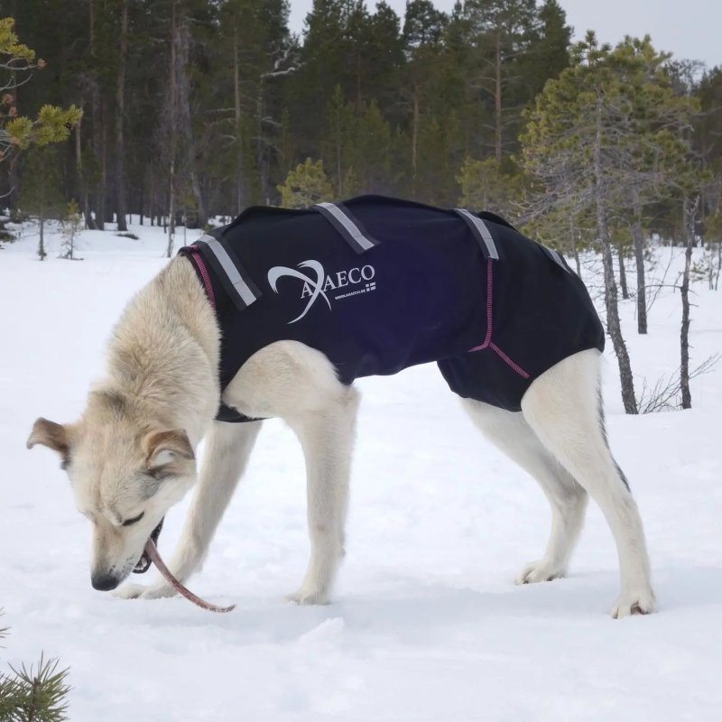 Axaeco Giacca Ice-Olation