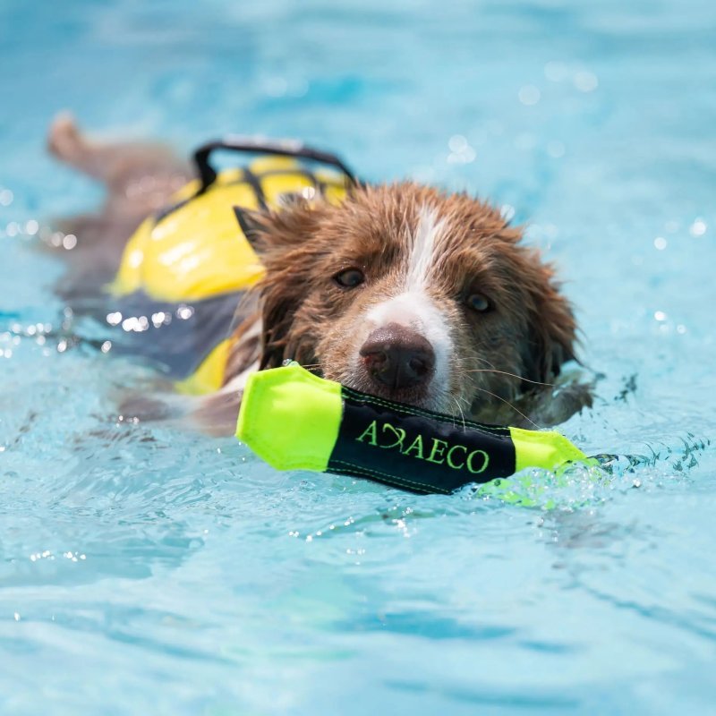 Axaeco Pippen Mini manicotto per addestramento acquatico per cani