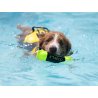 Axaeco Pippen Mini manicotto per addestramento acquatico per cani