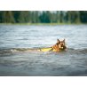 Axaeco Pippen Mini manicotto per addestramento acquatico per cani