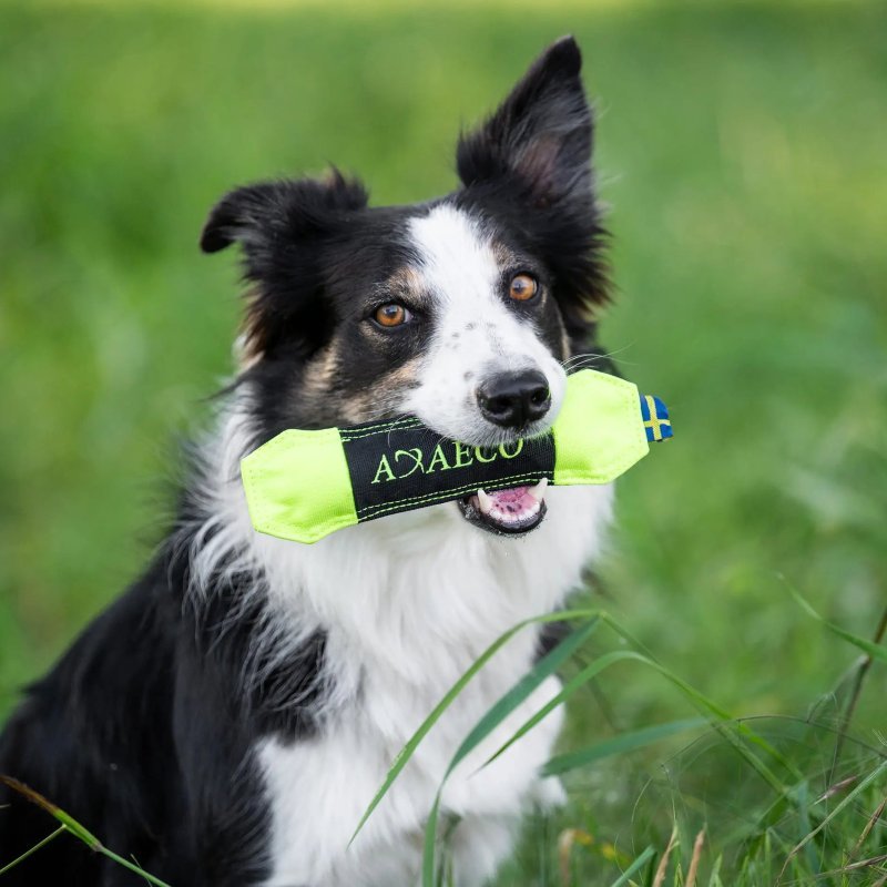Axaeco Pippen Mini manicotto per addestramento acquatico per cani