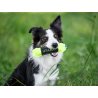 Axaeco Pippen Mini manicotto per addestramento acquatico per cani