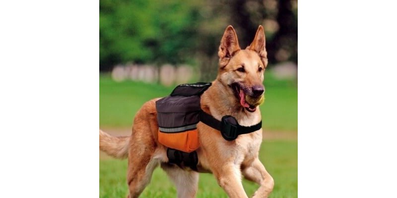 Ferplast Dog Scout zaino per cani