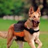 Ferplast Dog Scout zaino per cani