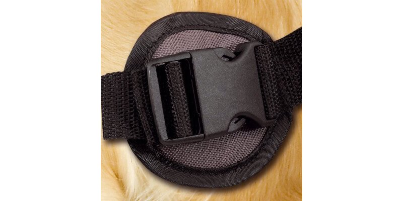 Ferplast Dog Scout zaino per cani