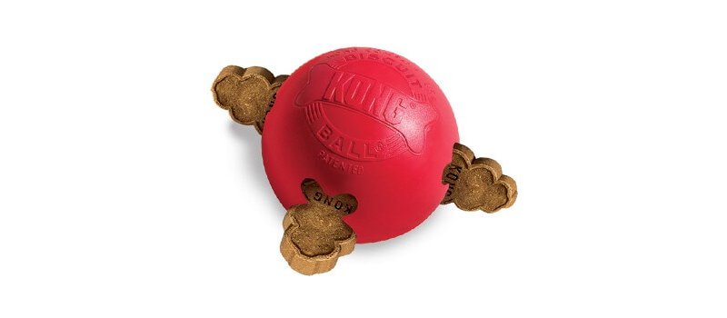 Kong Biscuit Ball