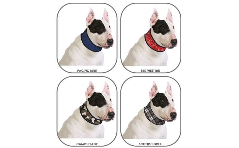 Aqua Coolkeeper Collare Refrigerante per cane - AquaZooMania Shop