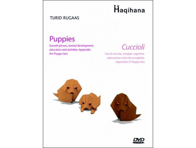 Haqihana DVD: "Puppies - Cuccioli"