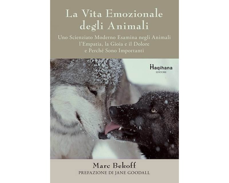 Haqihana Libro : "La Vita Emozionale degli Animali"