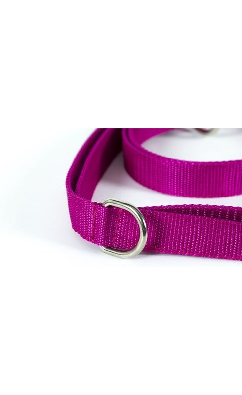 Neewa Guinzaglio regolabile 3m doppia maniglia per cane