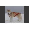 Neewa Sled Pro imbragatura sleddog per cane