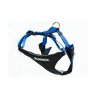 Neewa Pettorina Running - AquaZooMania Shop