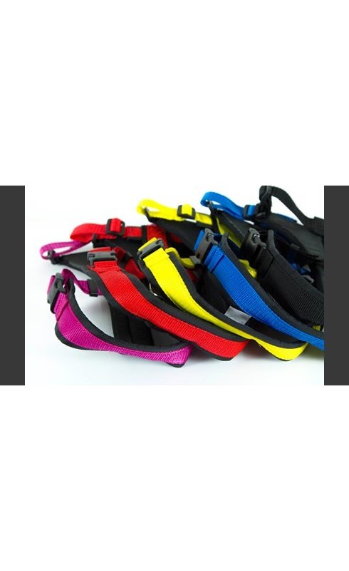 Neewa Pettorina Running - AquaZooMania Shop