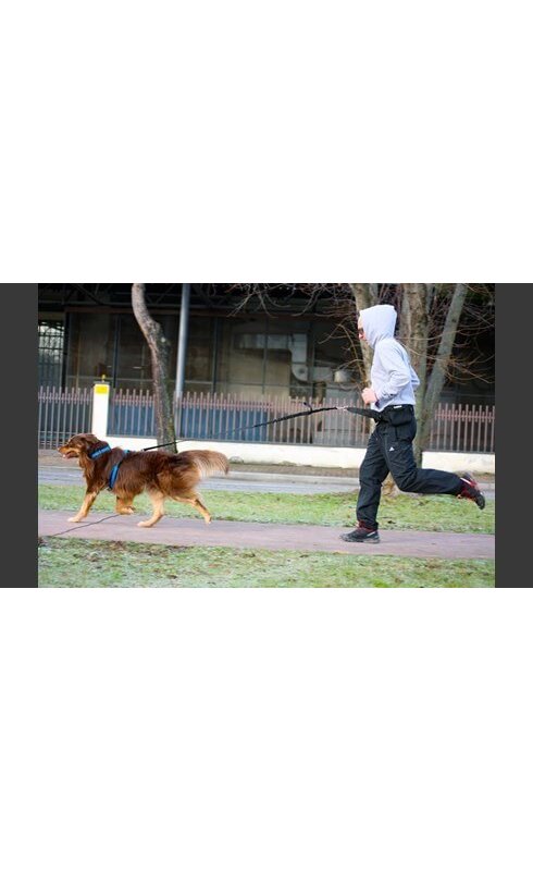 Neewa Cintura Dog Trekking