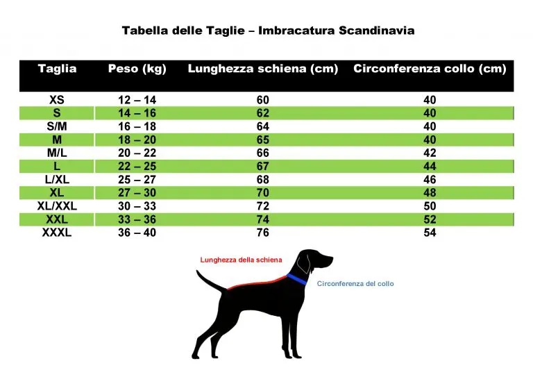 Tabella taglie