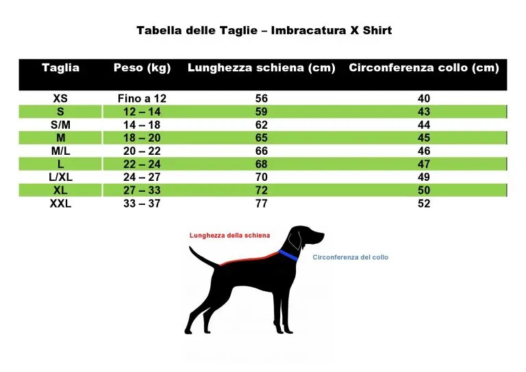 Tabella taglie