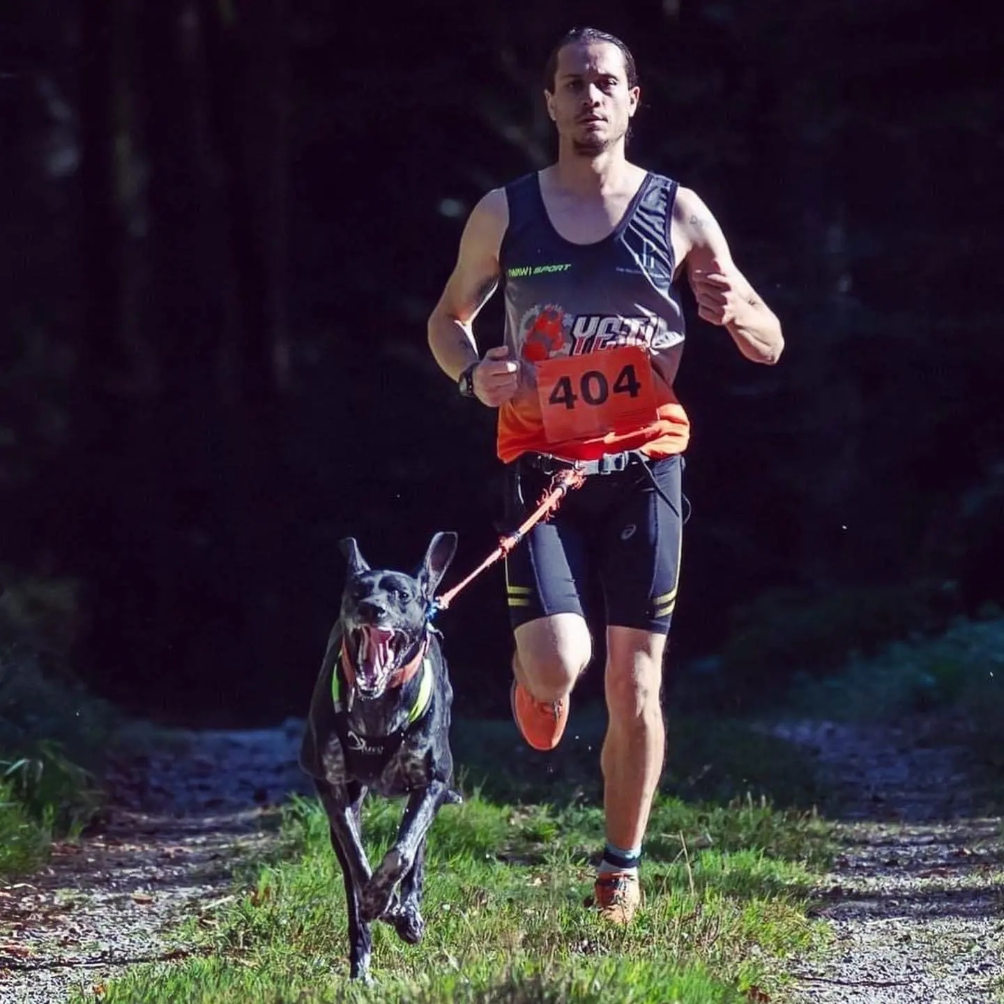 Canicross: Corsa con il Cane