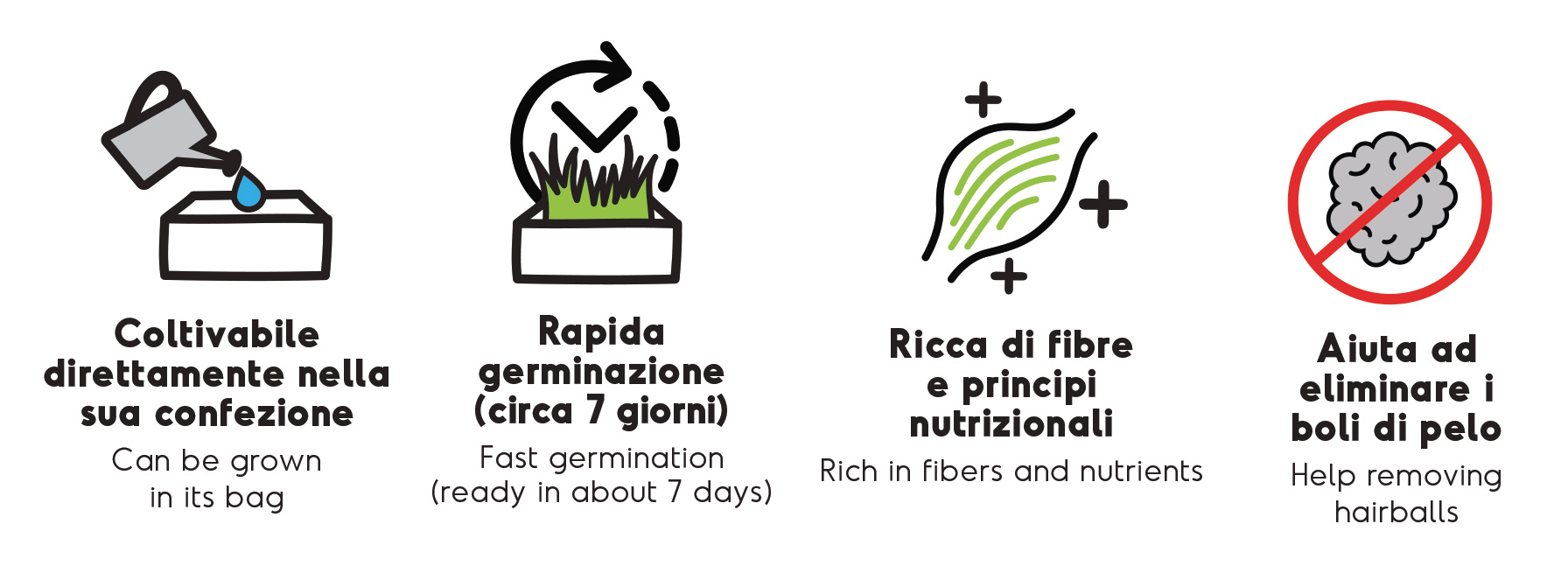Erba gatta