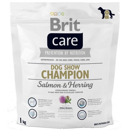 brit care show champion
