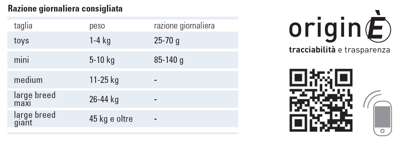 prolifeadulttroutminirazione.jpg