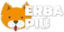 ErbaPiù