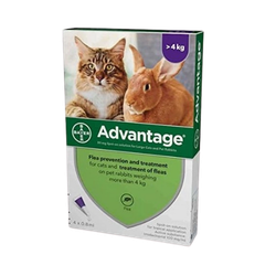 Antiparassitari Gatto