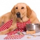 Il pasto ideale per il proprio cane