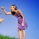 Come addestrare un animale domestico