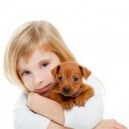 Come educare un cucciolo di cane