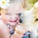 Come formare un cucciolo di cane o di gatto