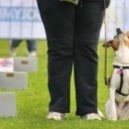 Rally Obedience: obbedire divertendosi