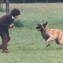 Il rapporto con il cane: come coltivarlo al meglio