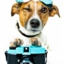 Fotografare gli animali: l’estate è la stagione perfetta