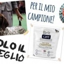Come migliorare un campione - Brit Care Dog Show