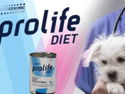 La Gestione Nutrizionale della Diarrea nel Cucciolo