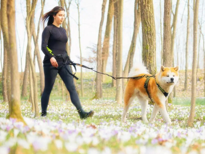 Attività all’aperto con il cane in primavera ed estate