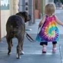 Cani in città: ecco le nuove regole