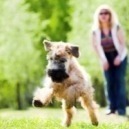 Orienteering Dog: ecco come giocare con il cane