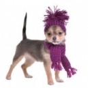 Come proteggere i cani dal freddo?
